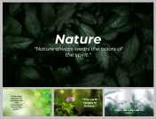 Natural Background PowerPoint And Google Slides Themes
