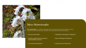 Creative Myco Heterotrophs PowerPoint Template Slide 