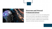 900023-Neuroscience-Research-05