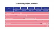 900270-Consulting-Project-Timeline_05
