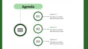 Agenda PowerPoint Presentation And Google Slides Template 