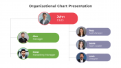 Stunning Organization Chart PPT And Google Slides Template