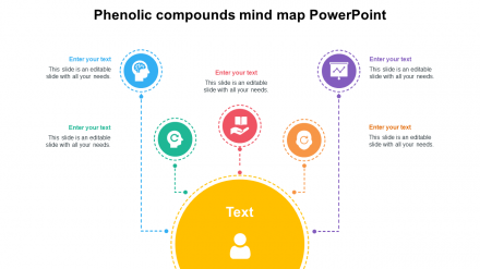 Get Phenolic Compounds Mind Map PowerPoint Templates
