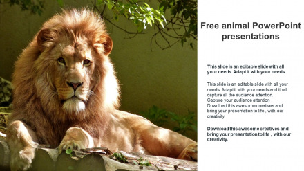 Free - Best Free Animal PowerPoint Presentations 