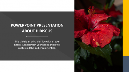 Get Involved In PowerPoint Presentation About Hibiscus