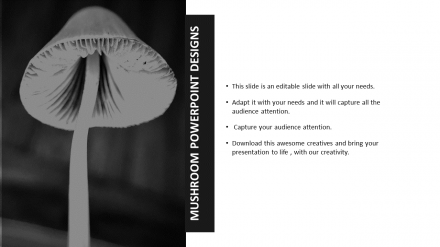Amazing Mushroom PowerPoint Designs Slide Template