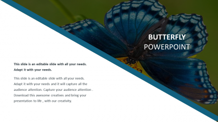 Amazing Butterfly PowerPoint Template Presentation