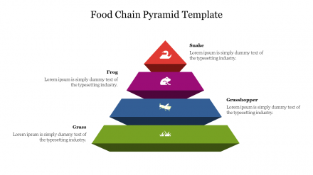 Stunning Food Chain Pyramid Template Presentation Slide 