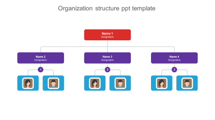 Organization Structure PPT Template With Flow Diagram