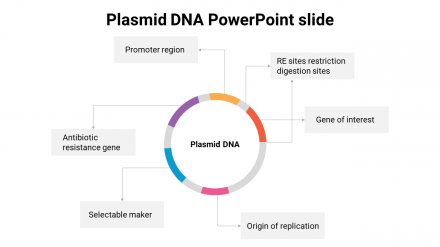 Multinode Plasmid DNA PowerPoint Slide Presentation