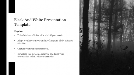 Attractive Black And White Presentation Template Slide