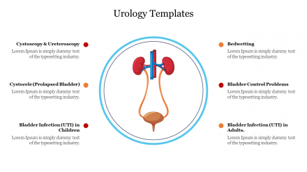 Best Urology Templates For PPT Presentation