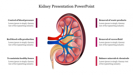 Effective Kidney Presentation PowerPoint Template Slide