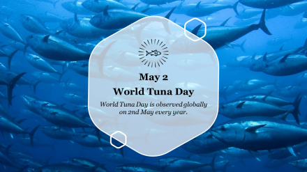 Explore Tuna PowerPoint Template Free For Presentation