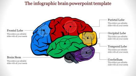 Creative Brain PowerPoint Template For Presentation