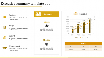 Practical Executive Summary Business Plan PowerPoint Template