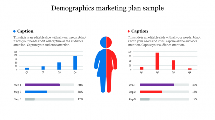 Demographics Marketing Plan Sample