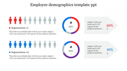 Employee Demographics PPT Presentation Template 