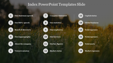 Effective Index PowerPoint Templates Slide Designs