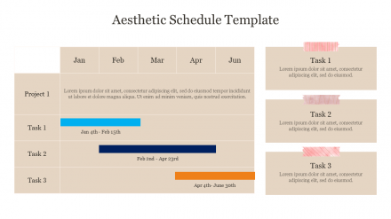 Effective Aesthetic Schedule Template Presentation 