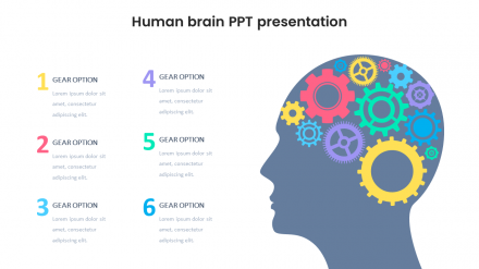 Our Predesigned Human Brain PPT Presentation