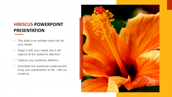 Hibiscus PowerPoint presentation