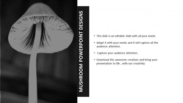 Mushroom powerpoint designs