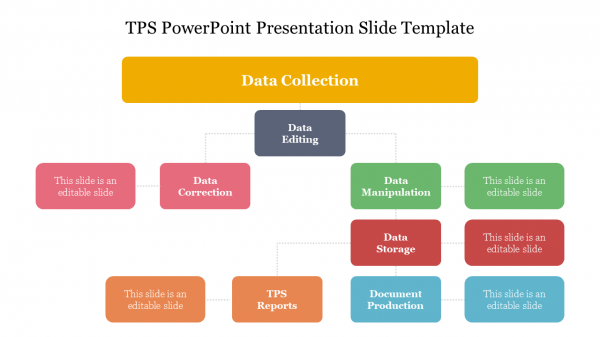 TPS PowerPoint Presentation Slide Template