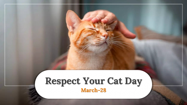 Attractive Respect Your Cat Day PowerPoint Presentation 