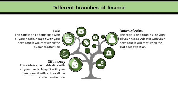 finance powerpoint presentation-Different branches of finance