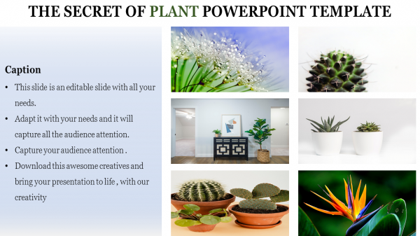 Attractive Plant PowerPoint Template Slide Presentation