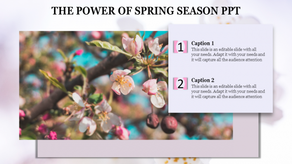 spring season ppt templates-The Power Of SPRING SEASON PPT