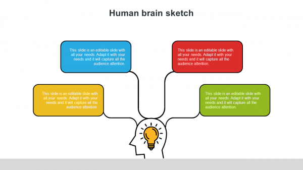 human brain sketch