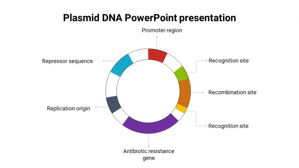 Plasmid DNA PowerPoint presentation