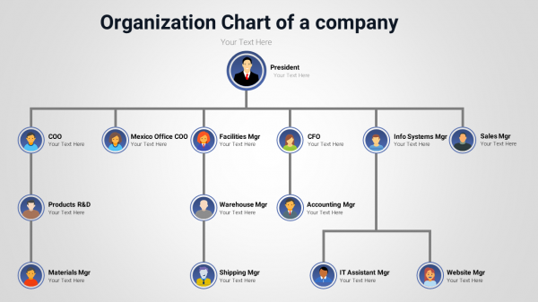 Organizational chart of a company