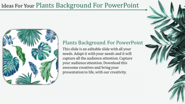 plants background for powerpoint-Ideas For Your Plants Background For Powerpoint