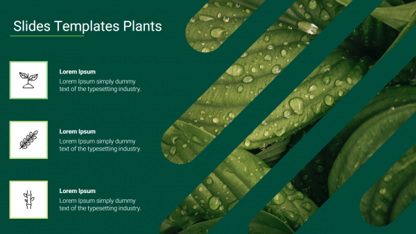 Creative Google Slides Templates Plants PPT