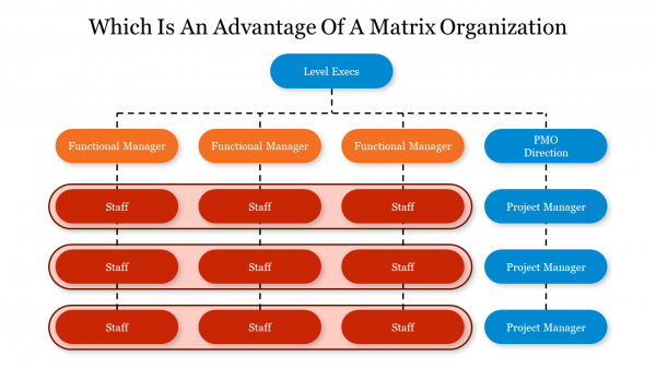 Which Is An Advantage Of A Matrix Organization