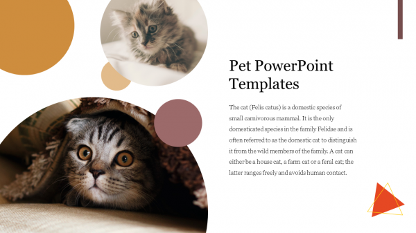 Free Pet PowerPoint Templates
