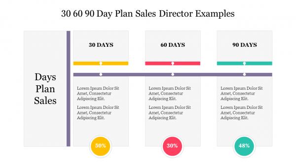 30 60 90 Day Plan Sales Director Examples
