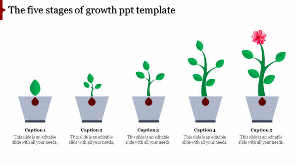 growth ppt template-The five stages of growth ppt template