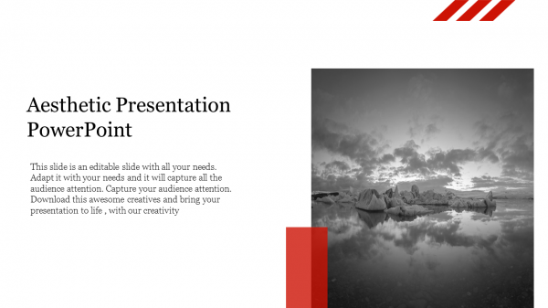Aesthetic Presentation PowerPoint