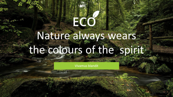 Eco presentation