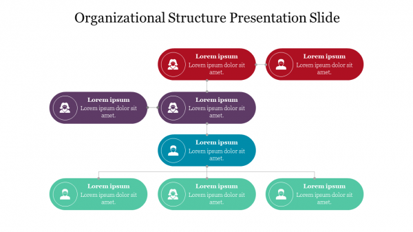 Organizational Structure Presentation Slide