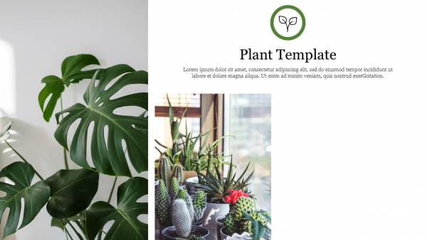 Best Effective Plant Template Presentation PPT Slide 