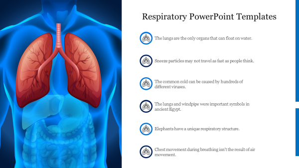 Free Respiratory PowerPoint Templates