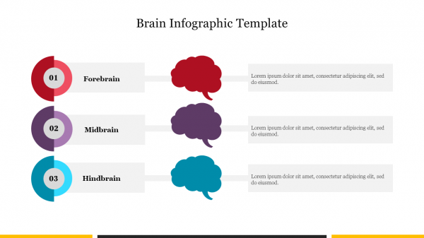 Brain Infographic Template Free