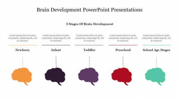 Brain Development PowerPoint Presentations