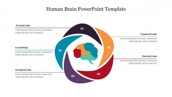 Human Brain PowerPoint Template Free Download