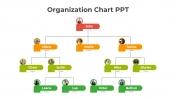Creative Organization Chart PowerPoint And Google Slides